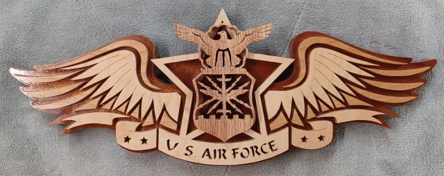 (image for) Special U. S. Air Force Wing